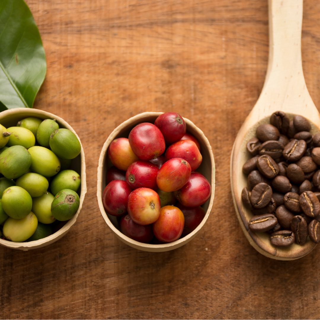 Ometepe Coffee Roasters - Balgue