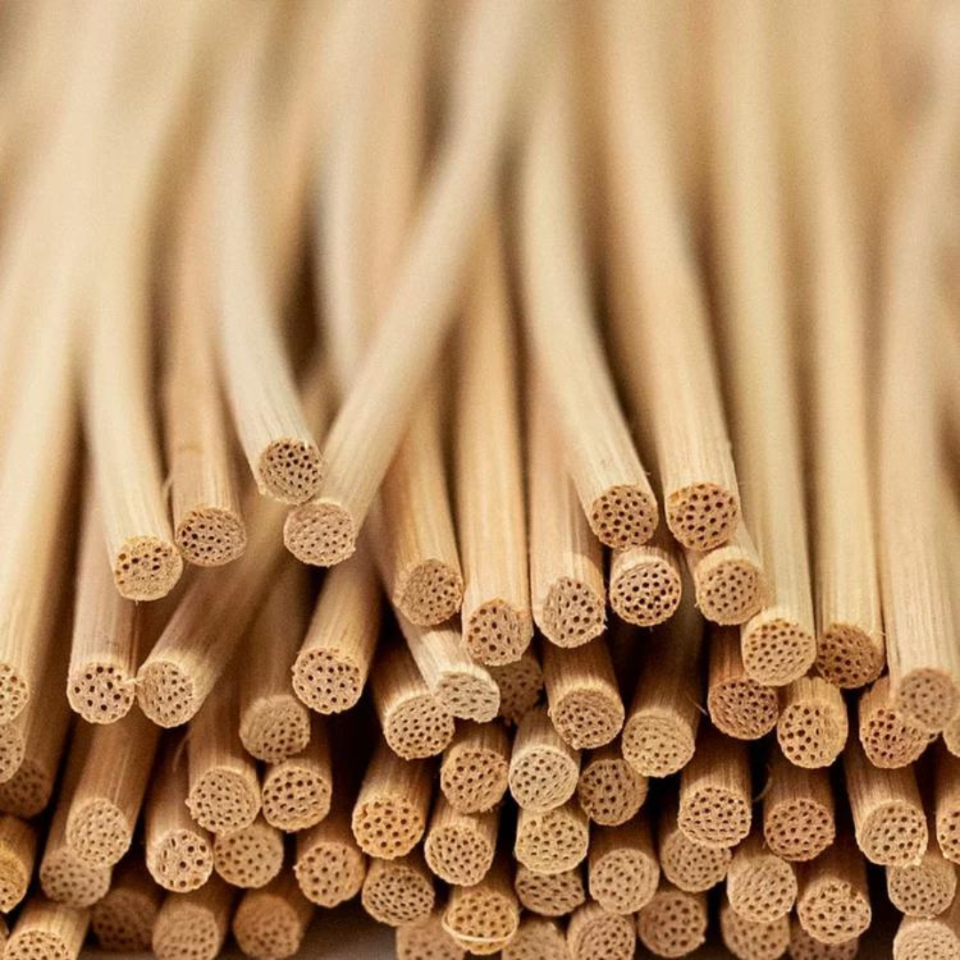 Reed Diffusers | Concepcion | Wild Lavender & Sage